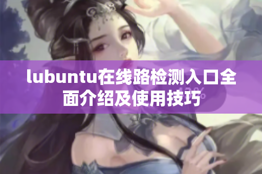 lubuntu在線路檢測(cè)入口全面介紹及使用技巧