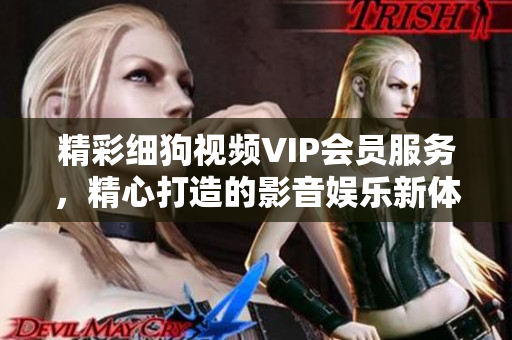精彩細狗視頻VIP會員服務(wù)，精心打造的影音娛樂新體驗