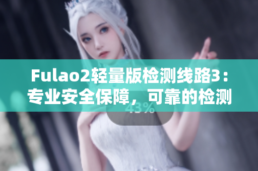 Fulao2輕量版檢測(cè)線路3：專(zhuān)業(yè)安全保障，可靠的檢測(cè)服務(wù)