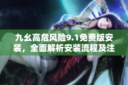 九幺高危風險9.1免費版安裝，全面解析安裝流程及注意事項