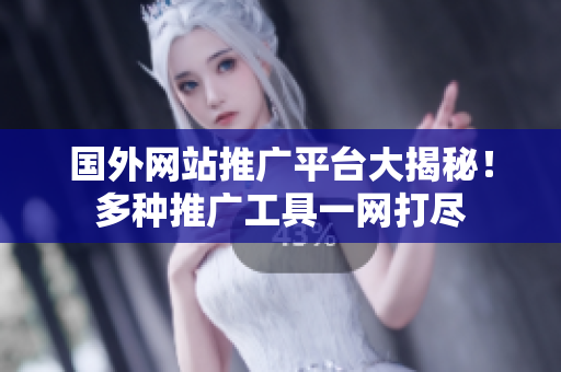 國外網(wǎng)站推廣平臺大揭秘！多種推廣工具一網(wǎng)打盡