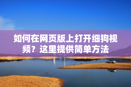 如何在網(wǎng)頁版上打開細(xì)狗視頻？這里提供簡(jiǎn)單方法