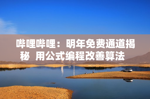 嗶哩嗶哩：明年免費通道揭秘  用公式編程改善算法  
