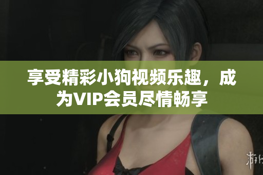 享受精彩小狗視頻樂趣，成為VIP會(huì)員盡情暢享