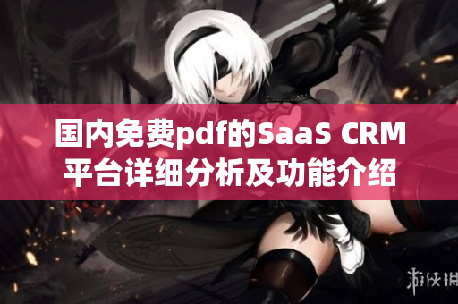 國內(nèi)免費pdf的SaaS CRM平臺詳細(xì)分析及功能介紹