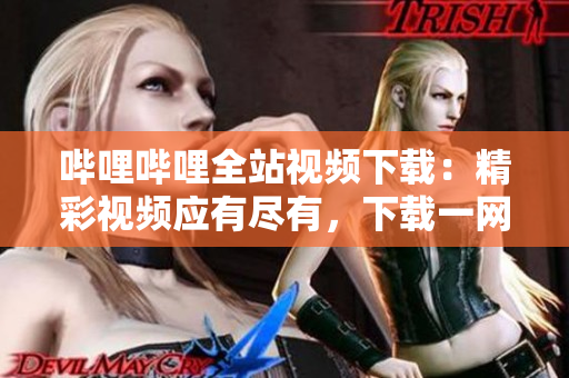 嗶哩嗶哩全站視頻下載：精彩視頻應(yīng)有盡有，下載一網(wǎng)打盡