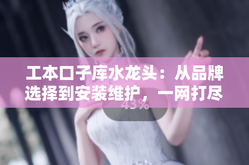 工本口子庫水龍頭：從品牌選擇到安裝維護，一網(wǎng)打盡