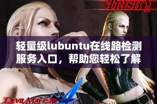 輕量級(jí)lubuntu在線路檢測(cè)服務(wù)入口，幫助您輕松了解網(wǎng)絡(luò)連接狀態(tài)