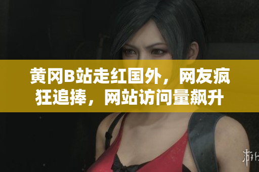 黃岡B站走紅國(guó)外，網(wǎng)友瘋狂追捧，網(wǎng)站訪問(wèn)量飆升