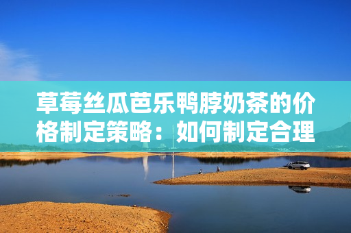 草莓絲瓜芭樂(lè)鴨脖奶茶的價(jià)格制定策略：如何制定合理的定價(jià)策略？