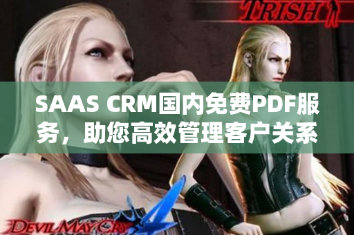 SAAS CRM國(guó)內(nèi)免費(fèi)PDF服務(wù)，助您高效管理客戶關(guān)系