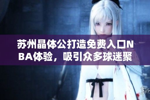 蘇州晶體公打造免費入口NBA體驗，吸引眾多球迷聚集